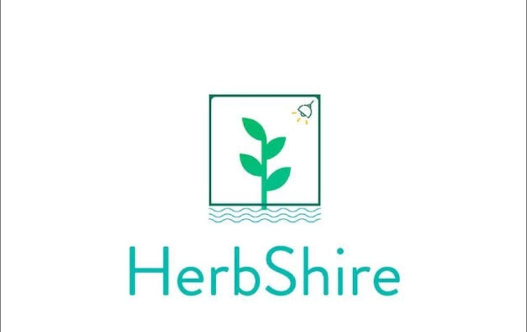 Brand Logo 11