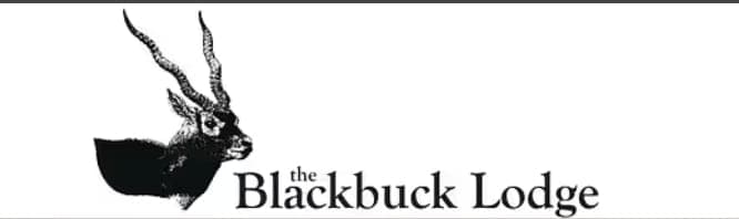 Brand Logo 23