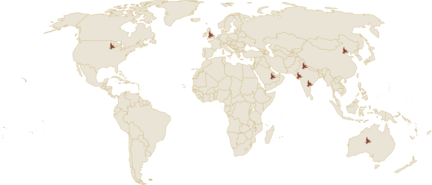 Global Presence Map
